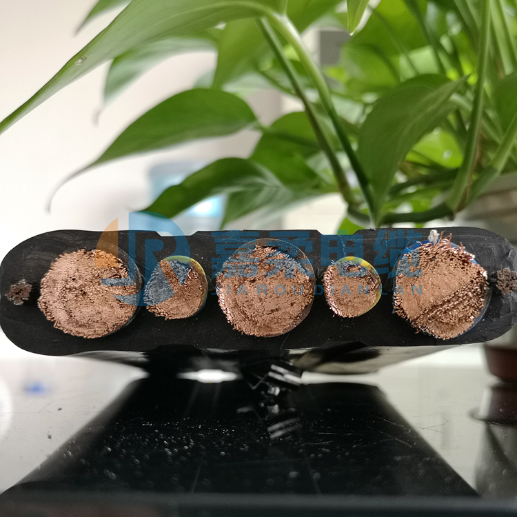 龙门吊扁电缆(抗拉双钢丝扁平电缆)